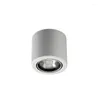 Ceiling Lights 350 Degree Rotating LED Celing 3W 5W 7W 10W Surface Mounted Wall Sconce Lamp For Bar Living Room Coffee Shop