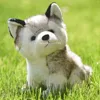 20 cm lebensechte niedliche Husky-Hunde-Plüschtiere, weiches Stofftier, Kawaii-Kinderspielzeug, Geburtstagsgeschenk für Mädchen, Cartoon-flauschiges Hundespielzeug