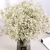 Decoratieve Bloemen 100g Decoratie BabysBreath Gypsophila Natuurlijk Gedroogd Geconserveerd Boeket Kerstdecoratie 2023 Bruidsbruiloft