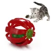 Chat balle jouet creux drôle interactif chat exercice balle chat cloche jouets chat jouets formation pour animaux de compagnie fournitures interactives livraison directe