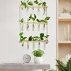 Vases Hanging Glass Vase Wall Planter Terrarium Container Rack Indoor For Home Garden Decor