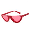 Sunglasses Fashion Cat Eye Women Cateye Small Sun Glasses Trend Designer Brand Retro Black Frame Shadow