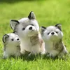 20 cm réaliste mignon Husky chien jouets en peluche doux peluche Kawaii enfants jouets cadeau d'anniversaire pour fille dessin animé moelleux chien jouet loup doux en peluche