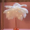 Bordslampor LED Feather Night Light Battery Box USB Dual-Purpose Room Decoration Bedroom Creative Gift Lamp