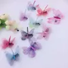 Haarschmuck, bunte Traum-Schmetterlings-Haarnadel für Mädchen, Kinder, modische Clips, transparente Haarspangen, R230608