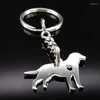 Keychains Animal Dog rostfritt stål Keychain för kvinnor känsliga husdjur Poodle Silver Color Jewelry Chaveiros K72246S07