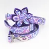 Collars Purple Magic Girl Dog Collare Fiore e guinzaglio Set per gatto per cani da compagnia con metallo in oro rosa