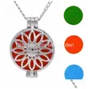 Pendant Necklaces Essential Oil Diffuser Necklace Aromatherapy Locket Antique Bronze Censer Jewelry Cage Drop Delivery Pendants Dh5Lj