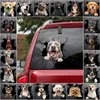 3D Dog Car Sticker Wodoodporna naklejka do samochodu kota naklejka na ścienne naklejki ścienne Zdejmowane naklejki statyczne naklejki wystrój domu Dropshipping