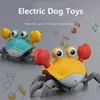 Akıllı Köpek Oyuncaklar Etkileşimli Köpek Oyuncaklar Köpekler için Otomatik Oyuncaklar USB Şarj Aksesuarları Köpek Köpekleri İçin Köpek Yavru Oyuncaklar Oyun Kapalı Oyun