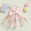 Rompertjes Schattige geboren baby jumpsuit mouwloos prinses meisje bloemen borduursel jumpsuit casual lente- en zomerkleding