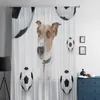 Cão de cortina em óculos de sol com cortinas de triagem de janela de baía de bola Drape painel tule transparente para sala de estar quarto voile organza