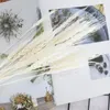 Dekoratif Çiçekler 50 PCS gerçek buğday kulak doğal kuru boho ev dekoru küçük el sanatları için yapay düğün çiçek Noel dekorati