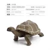 Simulated Wild Animal Turtle Model Turtle Set Decoration 1224452