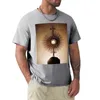 Men's Polos Benediction And Monstrance T-Shirt Plus Size T Shirts Oversized Quick Drying Shirt For Men Pack