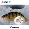 Ami da pesca Elite TG 10 pezzi Rame dorato Tungsteno Ice Tear Drop Jig 27mm50mm Hook Winter Bait 230608