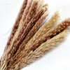 Decorative Flowers Eternal Dried Flower Reed Net Red Pampas Grass Family Holiday Wedding Pography Props Table Decoration Accessories Process