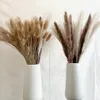 Decoratieve bloemen kransen 100 stuks Pampas Set Decoratie Fluffy Natuurlijke Woonkamer Decoratie Hoge Pampas Gras Gedroogde Bloemen Boeket Boho Home Decor 230608