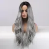 Parrucche sintetiche ALAN EATON Cenere grigio argento ondulato lungo con riflessi nella parte centrale dei capelli per le donne Cosplay resistente al calore