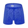 Caleçon hommes dentelle brodé Boxer Shorts string sexe culotte Sexy Transparent doux T pantalon sous-vêtements slips