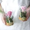 Decorative Flowers DIY Material Package Eternal Wishing Vase Dandelion Carnation Valentine'S Day Mother'S Special Romantic Gift