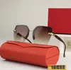 Designer Zonnebrillen voor Heren Dames Luxe Merk Versage Bril Gepolariseerde UV-bescherming Lunette Gafas de sol Shades Goggle Beach Sun Eyewear Model
