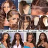 Pedaços de cabelo HD Lace Front Human On Sale Body Wave 13x4 Glueless Frontal Para Mulheres Castanho Natural Brasileiro 230609