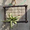 Dekorativa blommor 1 PC Rustic Style Air Plant Frame Holder Rattan Tillandsia Wood Wall Planter för heminredning