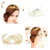 Bride Leaf Hair Band, European and American New Baroque Crown Hair Ornaments, Popular Forest cosplay Metal Headwear FG-0016-A FG-0040-A