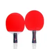 Table Tennis Raquets Lemuria Professional Carbon Fiber Racket Double Face Pimplesin Rubber 215MM Sponge FL Or CS Handle Ping Pong Bat 230608