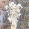 装飾的な花の花輪約35の花の頭乾燥天然花枝Diy Dry Etertenelle Star Anise Flower Bouquet