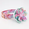 Collars 2020 Dream Girl Dog Collar Flower e Leash Set per gatto per cani da compagnia con metallo in oro rosa