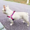 Collari per cani Guinzagli Imbracatura da passeggio facile Nylon regolabile per piccoli, medi e grandi Due attacchi per guinzaglio Imbracatura da allenamento Z0609