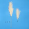 Other Event Party Supplies 1Pc 110cm Detachable Pampas Secas Grass Decor Artificial Reed Plant Fake Flower Wedding Home Bedroom Room Decoration Accessories 230608