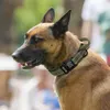 Guinzagli Collare per cani tattico personalizzato Collare per animali in nylon militare Collari per animali domestici personalizzati con maniglia di controllo rapido per la passeggiata di cani di grossa taglia