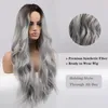 Parrucche sintetiche ALAN EATON Cenere grigio argento ondulato lungo con riflessi nella parte centrale dei capelli per le donne Cosplay resistente al calore