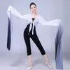 Vêtements de scène multicolores chinois Hanfu manches d'eau Yangko danse pratique hauts femme classique opéra de pékin Costume tibétain