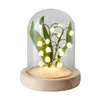 Altre forniture per feste per eventi LED Mughetto Fiori fatti a mano Luce notturna a incandescenza Materiale fai-da-te per la casa Comodino Desktop Decor Regalo di compleanno di San Valentino 230608