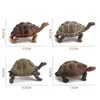 Simulerad vild djursköldpadda modell sköldpaddsuppsättning dekoration 1224452