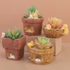 Jardinières Pots Mignon Animal Succulent Pot De Fleurs Résine Pot De Fleur Micro Paysage Plante En Pot Pour La Maison Salon Table Décoration De Jardin 230608