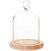 Бутылки для хранения прозрачное стеклянное куполо cloche с базовой таблич