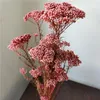 Dekorativa blommor 50/80g Natural Rice Flower Bouquet Garden Wedding Decoration Real Hirs Torkbord Vase Home Decor Pography Props