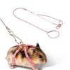 Coleiras para cães Trelas para pequenos animais Animal de estimação Arreios macios ajustáveis Pássaro Rato Hamster Furões Rato Porco Coleira Antibite Tração Corda Guiné Acessórios Z0609