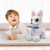 Télécommande Jouet Programmable Électronique Pet Robot Chien Voix Musique Chanson Cadeau D'anniversaire Pour Enfants