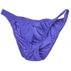 Underpants Ice Silk Men's Bikini Underwear Low-waist Male Panties Men Translucent Briefs Triangular Shorts