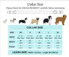 Collars 2020 Dream Girl Dog Collar Flower e Leash Set per gatto per cani da compagnia con metallo in oro rosa