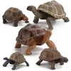 Juego de decoración de tortuga modelo de tortuga de animal salvaje simulado 1224452