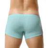 Underpants tauwell 2023 남자 권투 선수 메쉬 통기성 섹시한 속옷 복서 복서 쇼트 낮은 허리 수컷 팬티