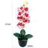 Kwiaty dekoracyjne 1 zestaw orchidei kolorowy mikro krajobraz dekoracja fałszywy phalaenopsis bonsai symulacja ozdoby ślubne