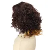 Synthetic Afro Kinky Curly Wigs for Black Women Highlight Wig Bob Brown Wig Curlys African Style Natural African Wigfactory dir